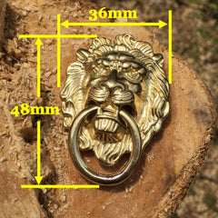 Lion Gold Wallet Conchos Conchos Button Lion Conchos Screw Back Lion Decorate Concho Lion Biker Wallet Concho Wallet Conchos