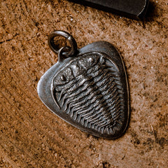 Cool Trilobites Brass Keyring Moto KeyChains Trilobites Keyring Moto Key Holders Key Chain Key Ring for Men